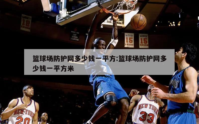 篮球场防护网多少钱一平方:篮球场防护网多少钱一平方米