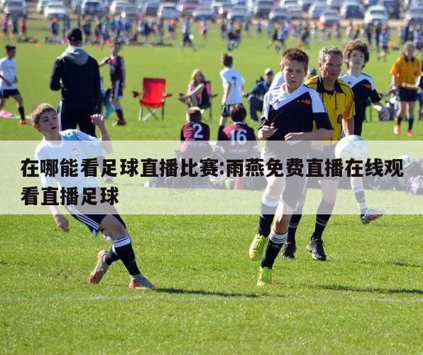 在哪能看足球直播比赛:雨燕免费直播在线观看直播足球
