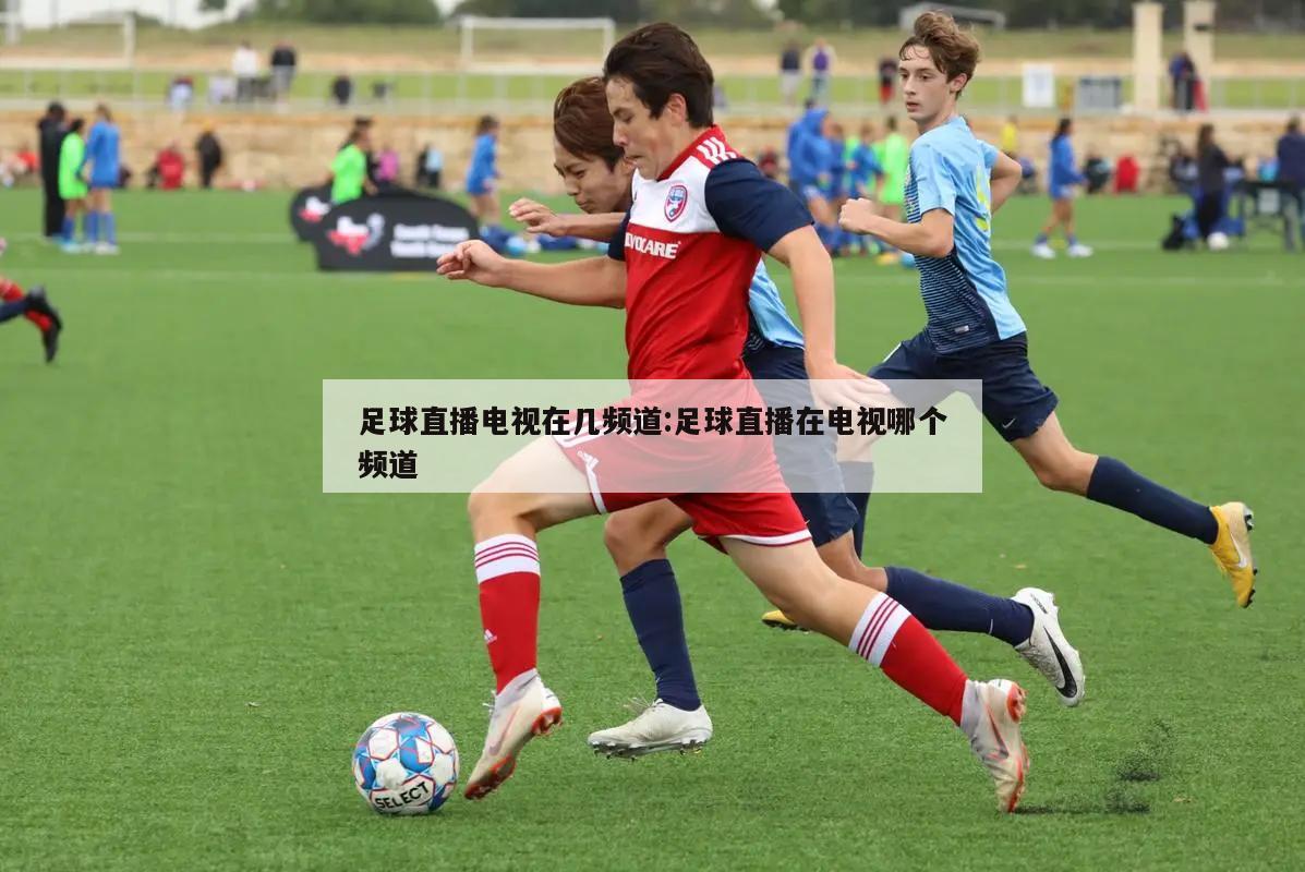 足球直播电视在几频道:足球直播在电视哪个频道