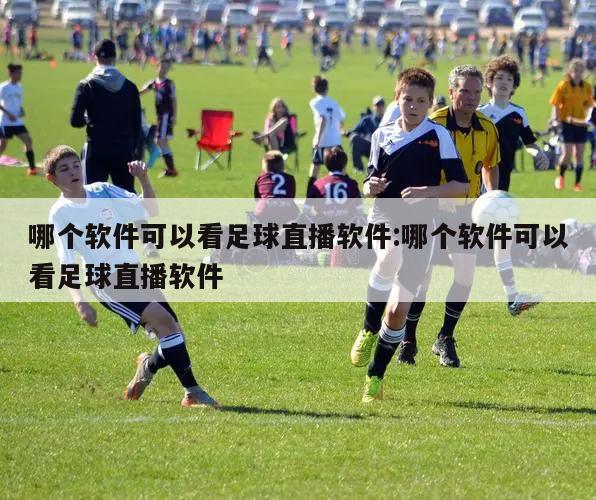 哪个软件可以看足球直播软件:哪个软件可以看足球直播软件