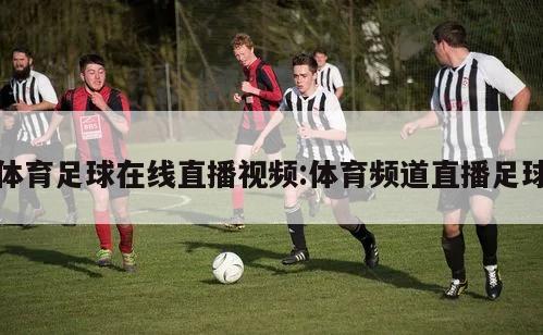 体育足球在线直播视频:体育频道直播足球