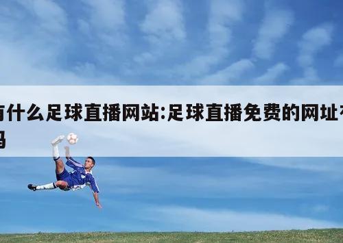 有什么足球直播网站:足球直播免费的网址有吗