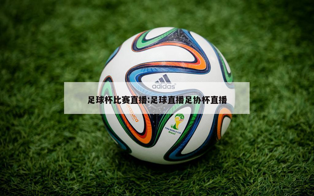 足球杯比赛直播:足球直播足协杯直播