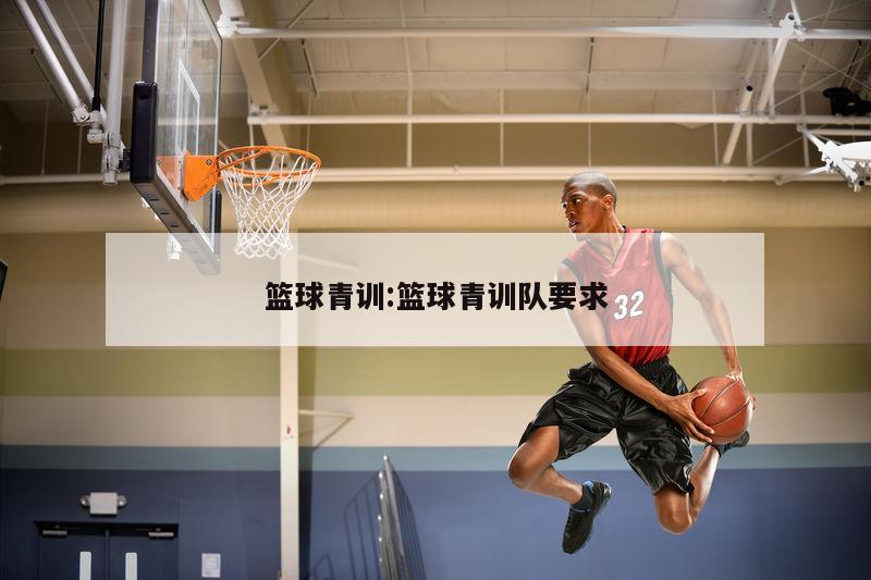 篮球青训:篮球青训队要求