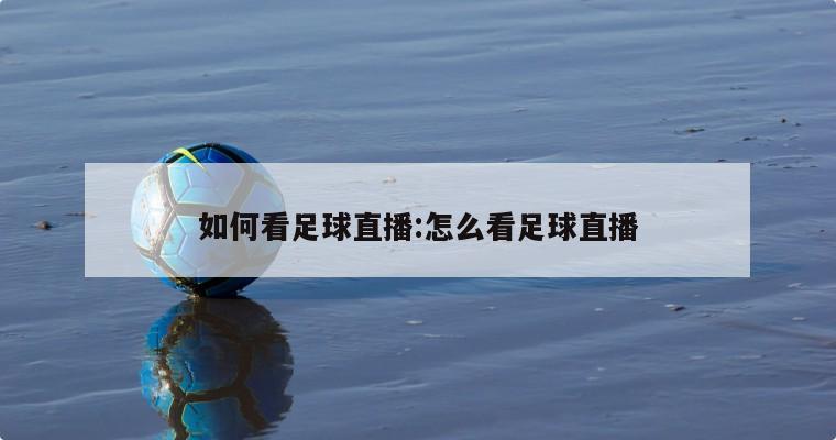 如何看足球直播:怎么看足球直播