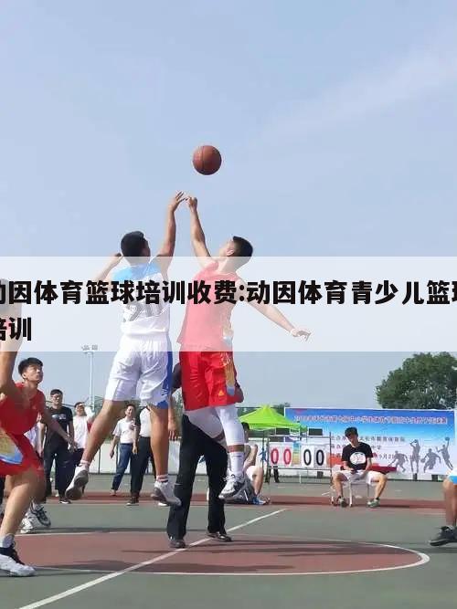 动因体育篮球培训收费:动因体育青少儿篮球培训