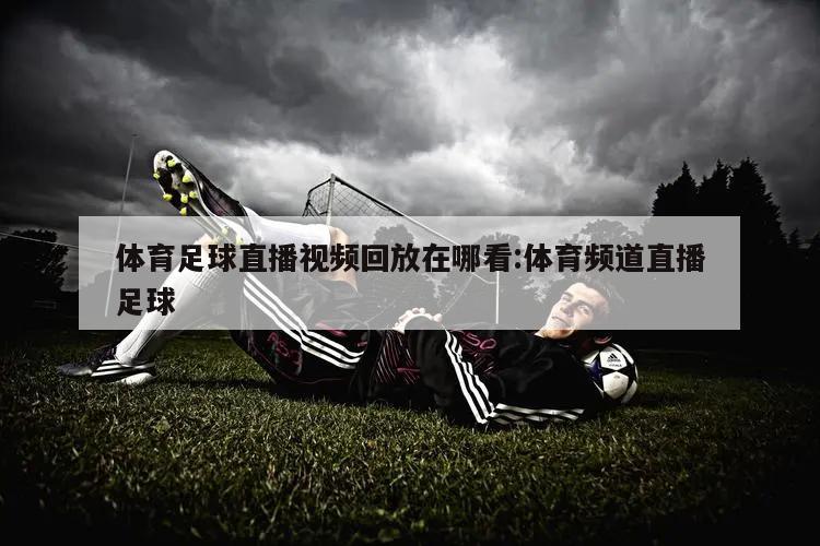 体育足球直播视频回放在哪看:体育频道直播足球