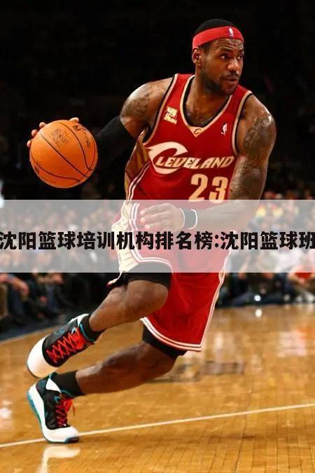 沈阳篮球培训机构排名榜:沈阳篮球班