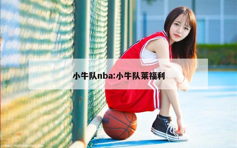 小牛队nba:小牛队莱福利