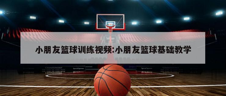 小朋友篮球训练视频:小朋友篮球基础教学