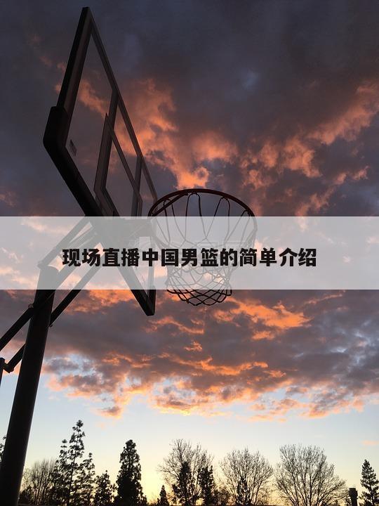 现场直播中国男篮的简单介绍