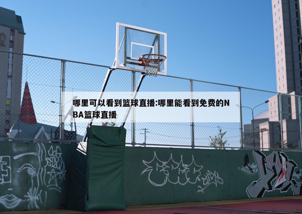 哪里可以看到篮球直播:哪里能看到免费的NBA篮球直播